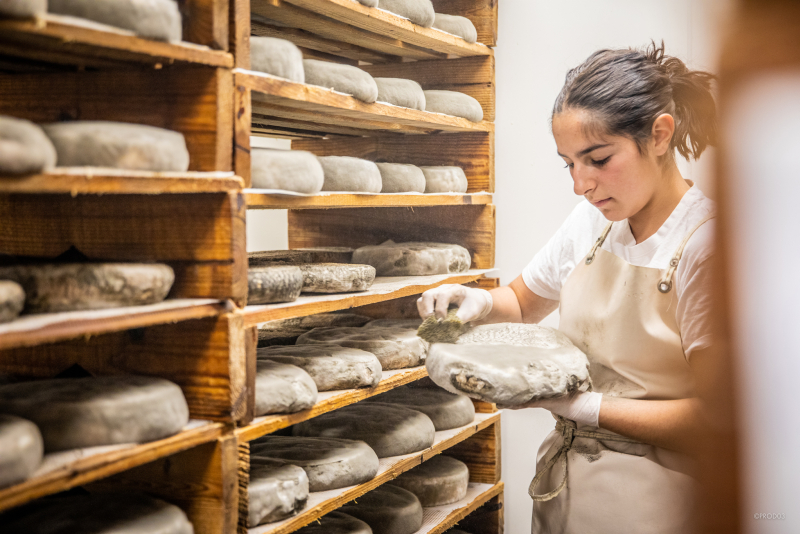 Produits locaux - région auvergne - fromage saint nectaire