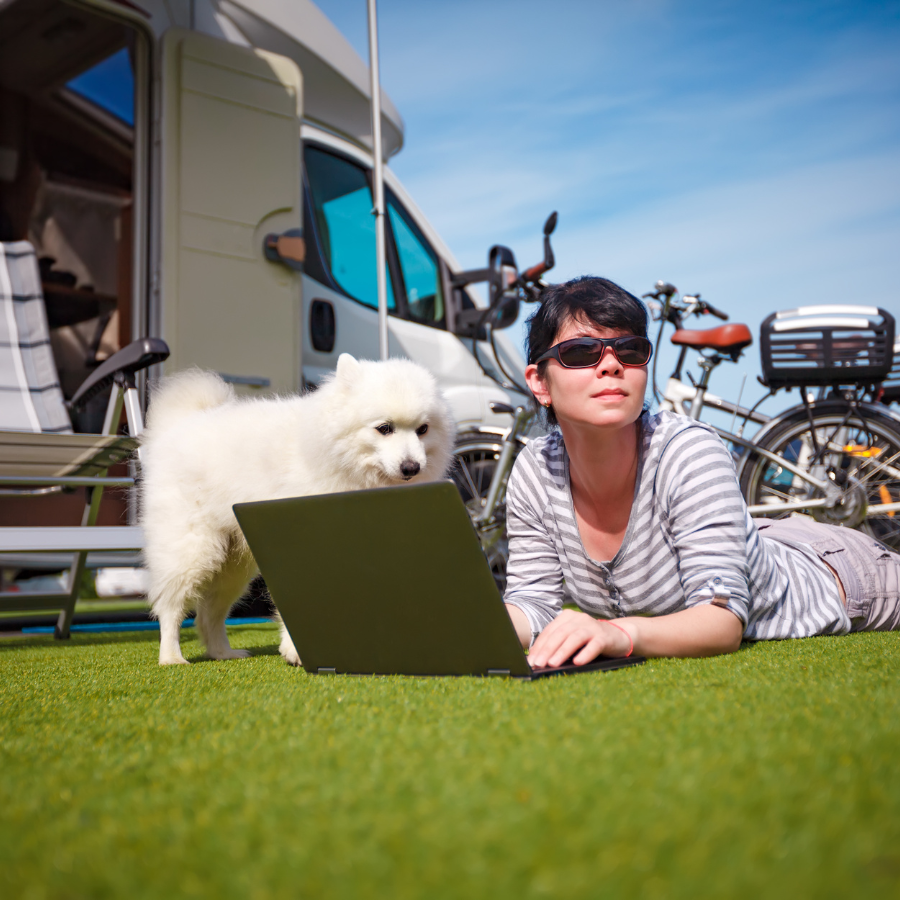 animal de compagnie et camping-car